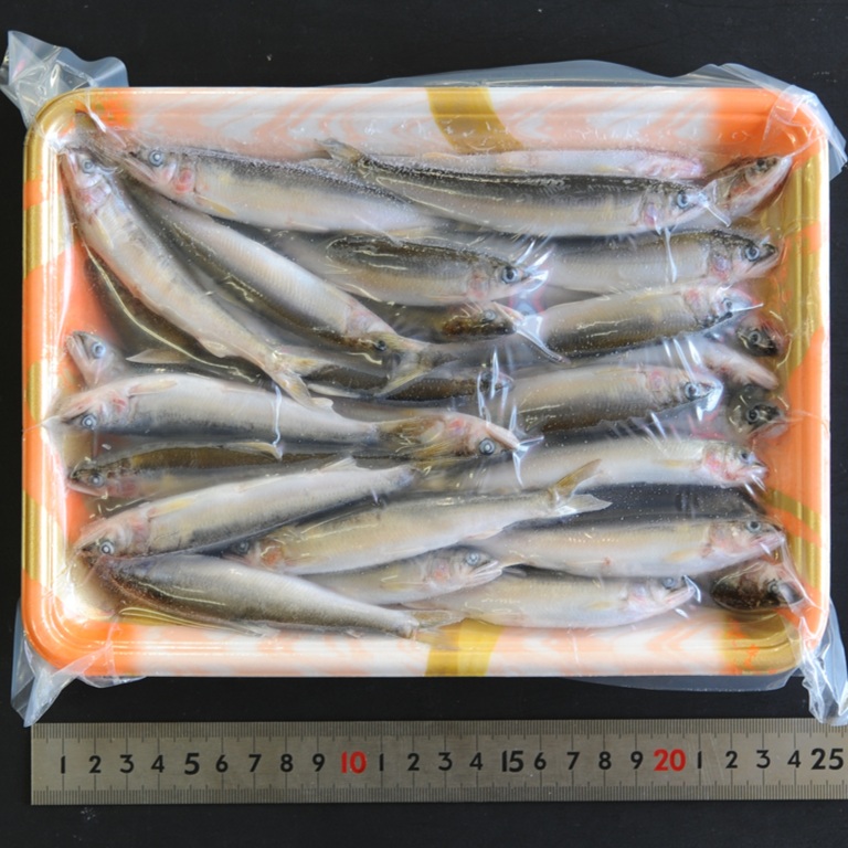琵琶湖 天然小鮎《特大》約15ｇ 約11cm 500ｇ X1パック【5パック以上でお願いします】小あゆ 稚鮎 若鮎
