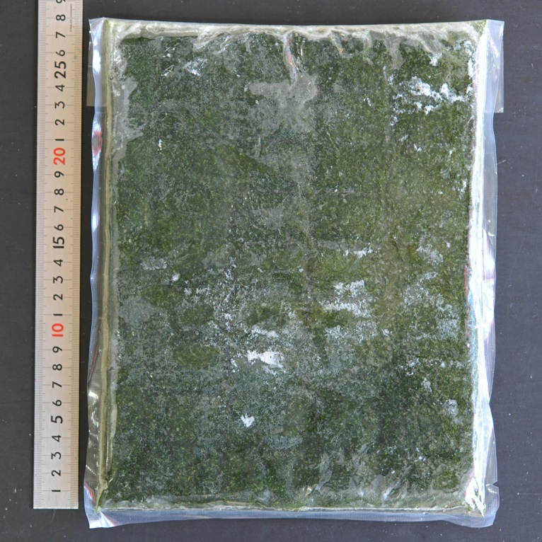 国産 ほうれん草ペースト 1kg X1袋 無添加 石臼(ﾏｽｺﾛｲﾀﾞｰ)製法で鮮度抜群