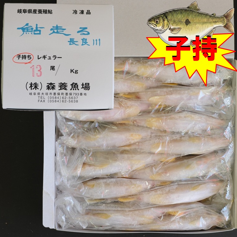 子持ち鮎 1㎏ 13尾 X1ボール 愛知産 岐阜産 国産鮎 冷凍鮎 子持鮎 便利な個包装 業務用 仕入れ