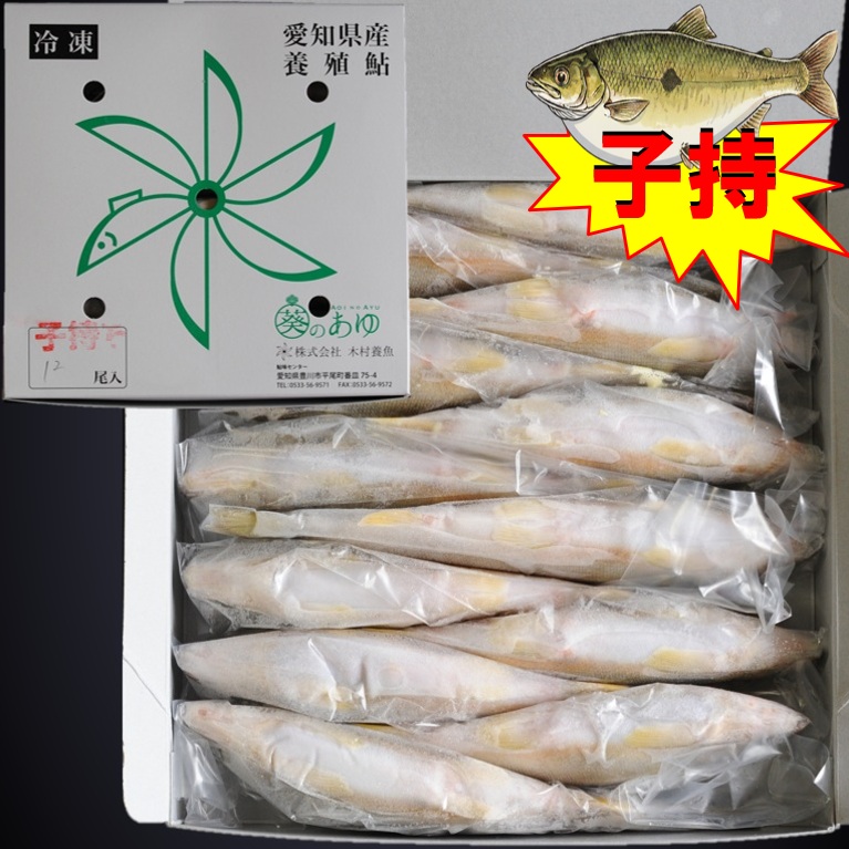 子持ち鮎 1㎏ 12尾 X1ボール 愛知産 岐阜産 国産鮎 冷凍鮎 子持鮎 便利な個包装 業務用 仕入れ