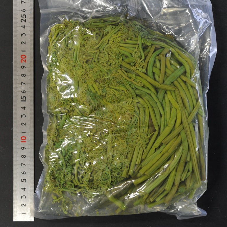 わらび水煮 約20cm 1kg X1袋【2袋以上でお願いします】春 山菜水煮 お浸し 煮物 山菜ごはん ちらし寿司