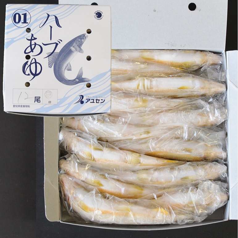 霜降りのような身質 スイカの香り ハーブあゆ1級 1㎏ 11尾 X1ボール【3ボール以上でお願いします】愛知 養殖鮎 国産鮎 冷凍鮎