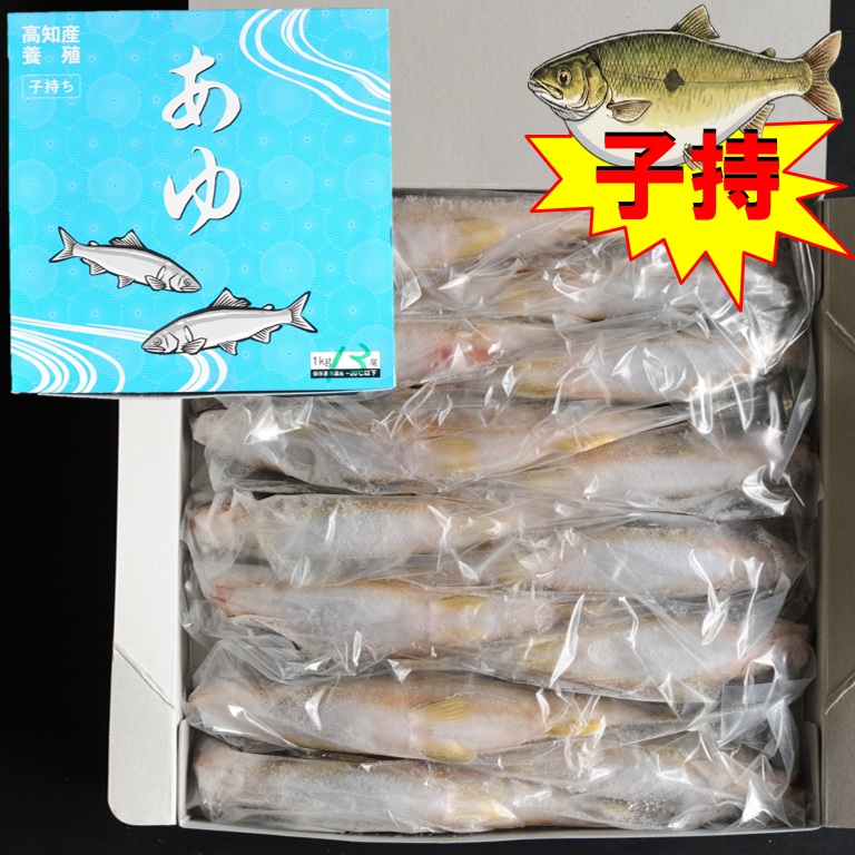 〈限定〉子持ち鮎 2級品 1kg 18尾 X1ボール【3ボール以上でお願いします】高知県産 国産鮎 冷凍鮎 子持鮎 便利な個包装 業務用 仕入れ