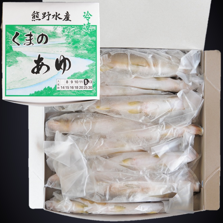 スイカの香りがする養殖あゆ 1kg 12尾 X1ボール【3ボール以上でお願いします】和歌山産 国産鮎 冷凍鮎 熊野水産 くまのあゆ 便利な個包装 業務用 仕入れ