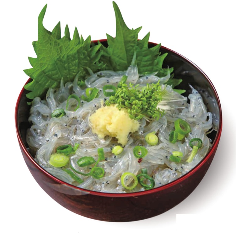 朝獲れ生シラス 100g X1パック【3パック以上でお願いします】船上の美味しさそのままに 特有の苦みが少ない製品
