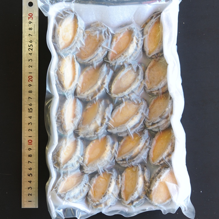 活〆蒸し鮑 20粒 1kg×1袋 柔らかく食べやすい あわび 刺身 寿司ねた 焼物 おせち