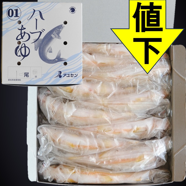 ハーブあゆ1級 1㎏ 10尾 X1ボール【鮎3ボール以上でお願いします】霜降りのような身質 スイカの香り 愛知 養殖鮎 国産鮎 冷凍鮎