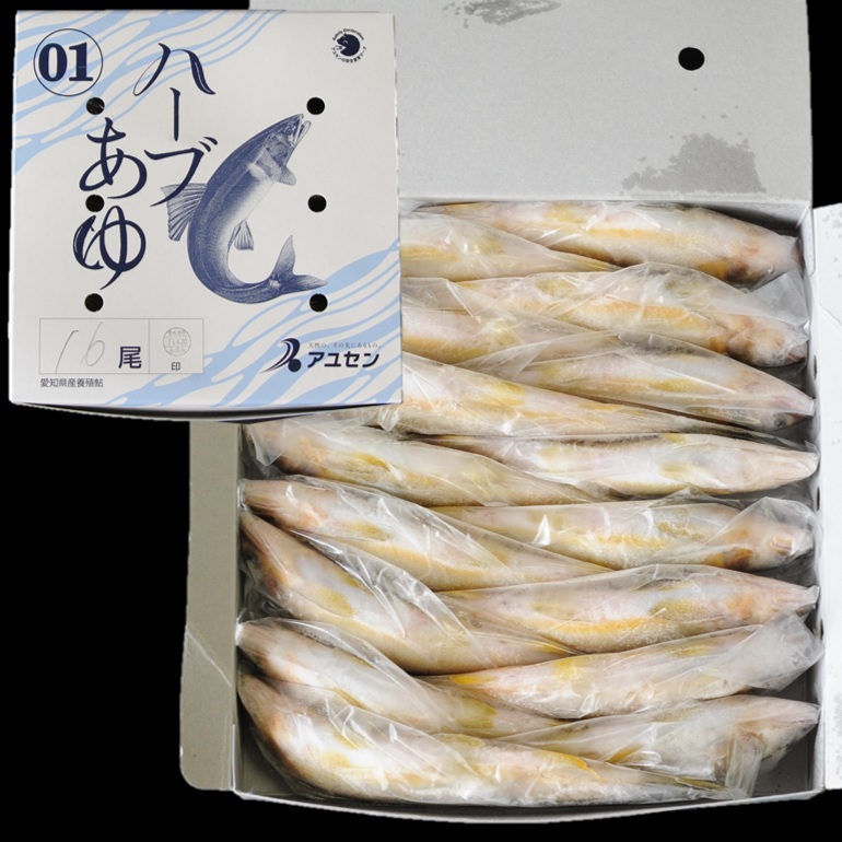 ハーブあゆ1級 1㎏ 16尾 X1ボール【3ボール以上でお願いします】霜降りのような身質 スイカの香り 愛知 養殖鮎 国産鮎 冷凍鮎