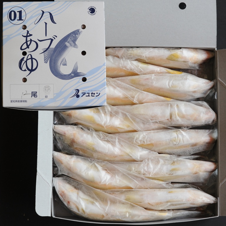 ハーブあゆ1級 1㎏ 12尾 X1ボール【3ボール以上でお願いします】霜降りのような身質 スイカの香り 愛知 養殖鮎 国産鮎 冷凍鮎
