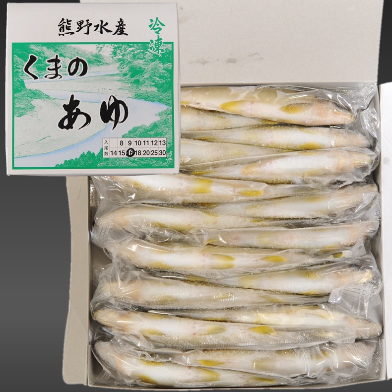 スイカの香りがする養殖あゆ 1kg 16尾 X1ボール【3ボール以上でお願いします】和歌山産 国産鮎 冷凍鮎 熊野水産 くまのあゆ 便利な個包装 業務用 仕入れ