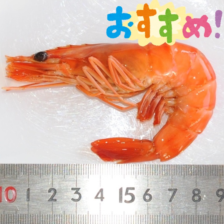 海老旨煮М（ブラックタイガーえび25尾/400ｇ）X1パック おせち料理 業務用 仕入れ