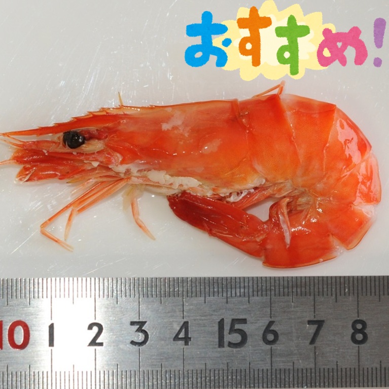 焼き海老 焼海老 BT60（ブラックタイガーえび25尾／400ｇ）X1パック おせち オードブル