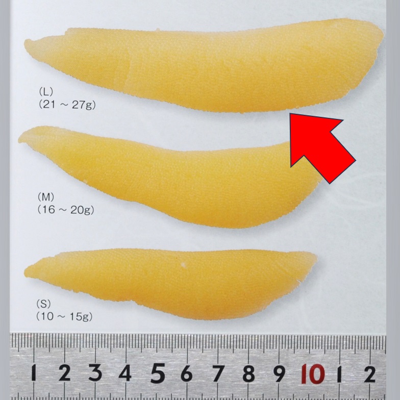 塩水漬 皮むき数の子 Lサイズ 20本/500ｇ x1パック 米国カナダ産 塩数の子 おせち