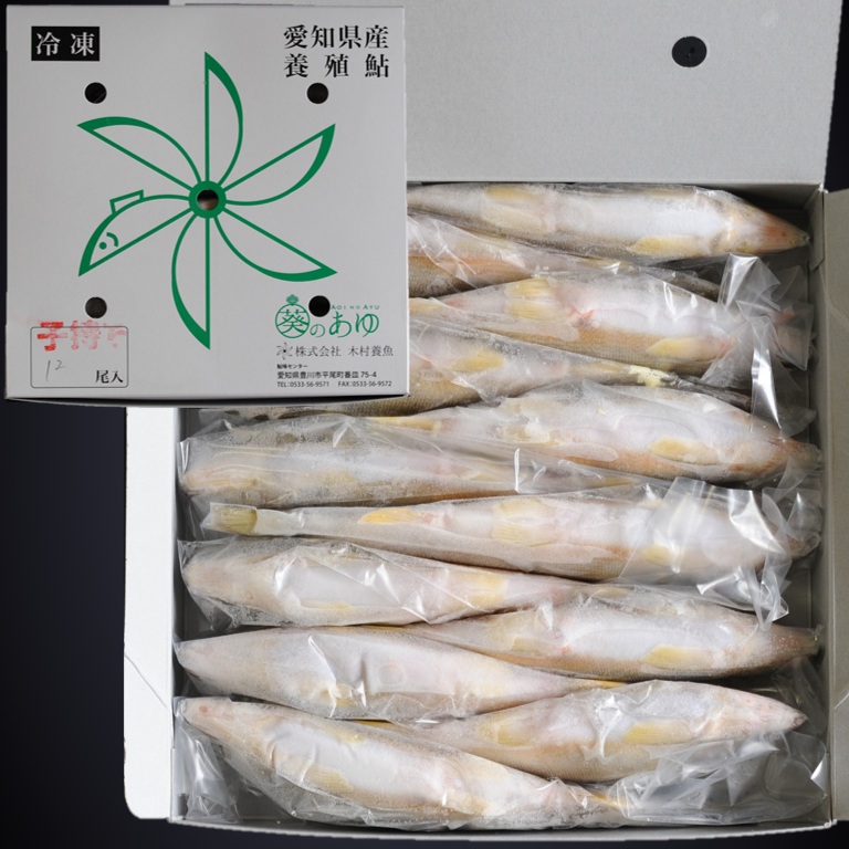 子持ち鮎 1㎏ 13尾 X1ボール 愛知産 岐阜産 国産鮎 冷凍鮎 子持鮎 便利な個包装 業務用 仕入れ