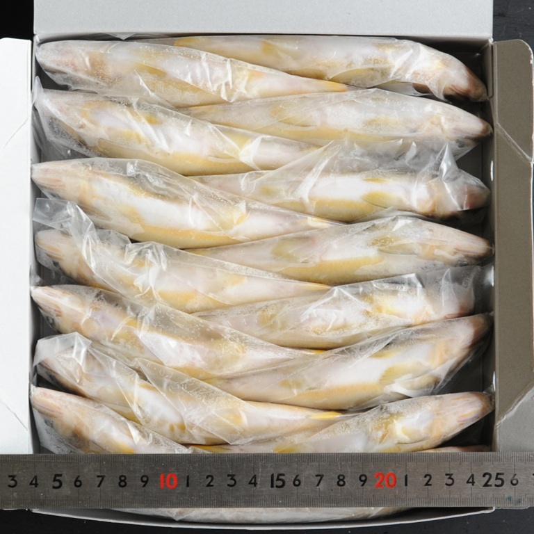岐阜・愛知県産 養殖鮎 1㎏ 15尾 X1ボール【3ボール以上でお願いします】養殖あゆ 国産鮎 冷凍鮎便利な個包装 業務用 仕入れ