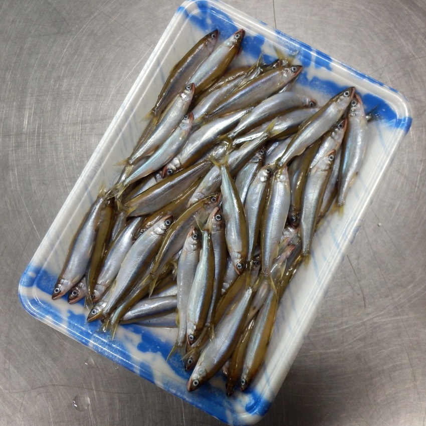 琵琶湖 天然若鮎 小鮎 稚鮎 小 6-8㎝ 約85-90尾 500g X1パック【5パック以上でお願いします】