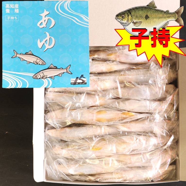 〈限定〉子持ち鮎 1級品 1kg 14尾 X1ボール【3ボール以上でお願いします】高知県産 国産鮎 冷凍鮎 子持鮎 便利な個包装 業務用 仕入れ