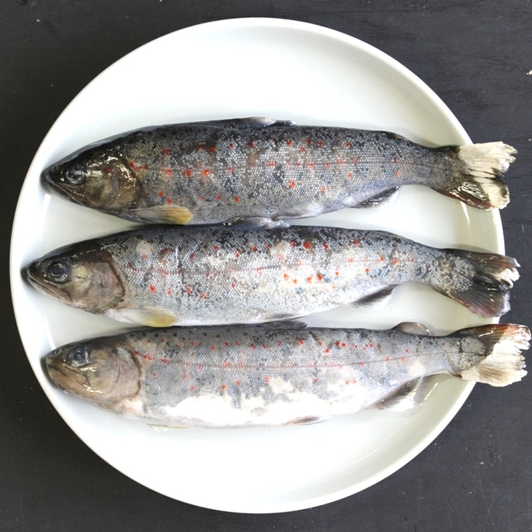 奇跡の清流 仁淀川のアマゴ 1kg 11尾 X1ボール 片岡養魚 養殖ユズあまご あめご 仁淀ブルー 中津明神山 業務用 仕入れ