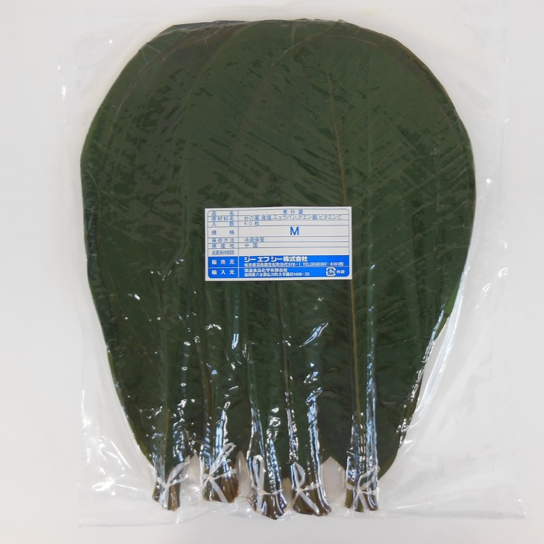 青朴葉 Мサイズ 50枚 600g X1袋【2袋以上か、買物合計3,000円以上でお願いします】