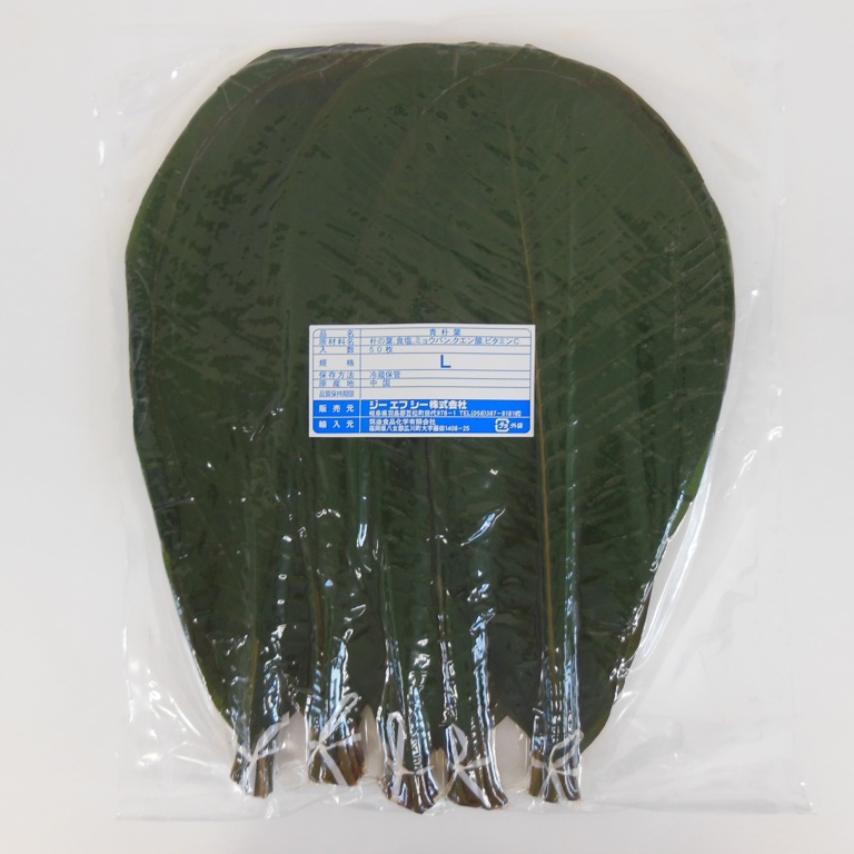 青朴葉 Lサイズ 50枚 700g X1袋【2袋以上か、買物合計3,000円以上でお願いします】