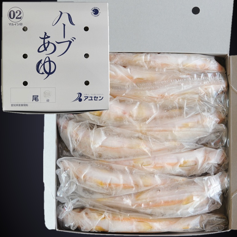 ハーブあゆ2級 1㎏ 10尾 X1ボール【3ボール以上でお願いします】霜降りのような身質 スイカの香り 愛知 養殖鮎 国産鮎 冷凍鮎
