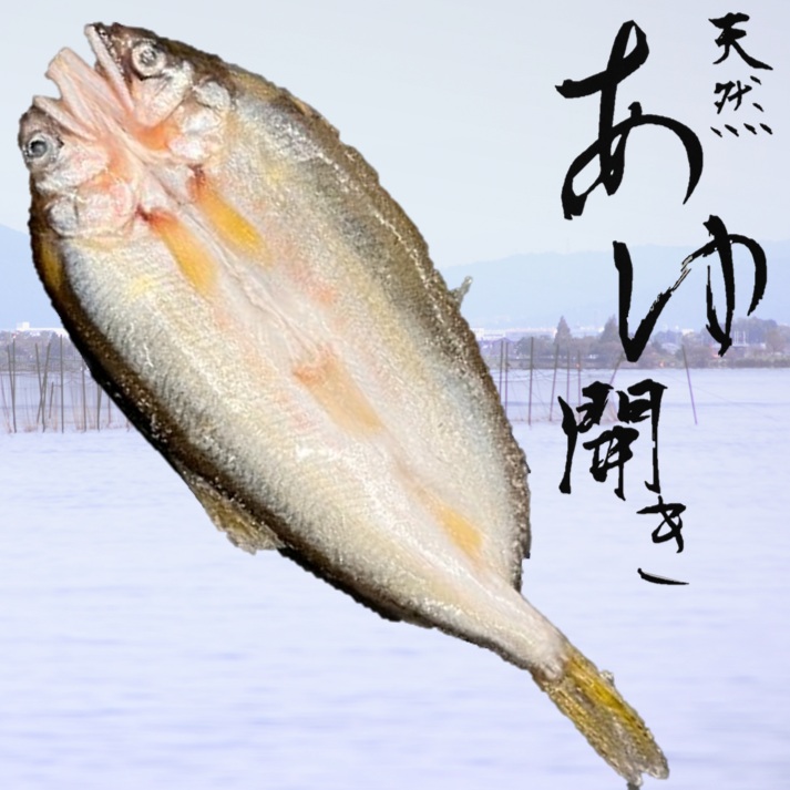 琵琶湖産 天然鮎開き16尾 約270ｇ Ｘ10ボール 天ぷら 焼き物 国産鮎 塩焼き 滋賀県産
