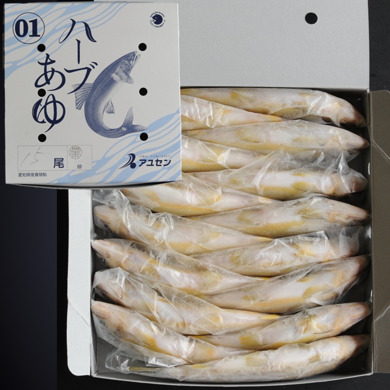 ハーブあゆ1級 1㎏ 15尾 X1ボール【3ボール以上でお願いします】霜降りのような身質 スイカの香り 愛知 養殖鮎 国産鮎 冷凍鮎