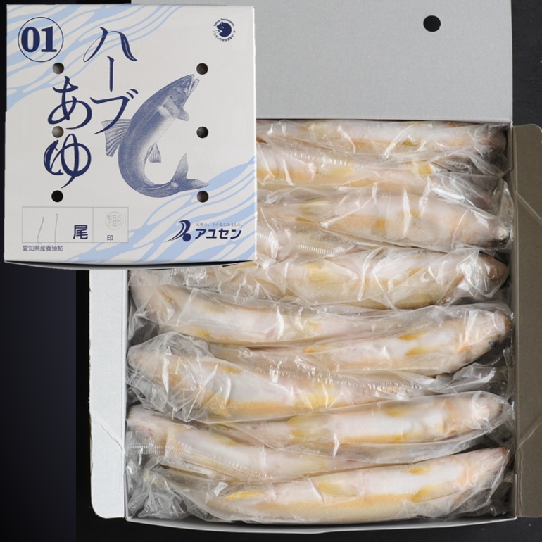 ハーブあゆ1級 1㎏ 11尾 X1ボール【3ボール以上でお願いします】霜降りのような身質 スイカの香り 愛知 養殖鮎 国産鮎 冷凍鮎