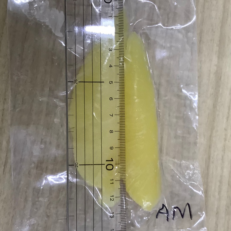 塩水漬 皮むき数の子［シトカ］中 16-23g 3㎏ X1樽 カナダ米国産 アラスカ州シトカ水揚 おせち 前菜 寿司ネタ