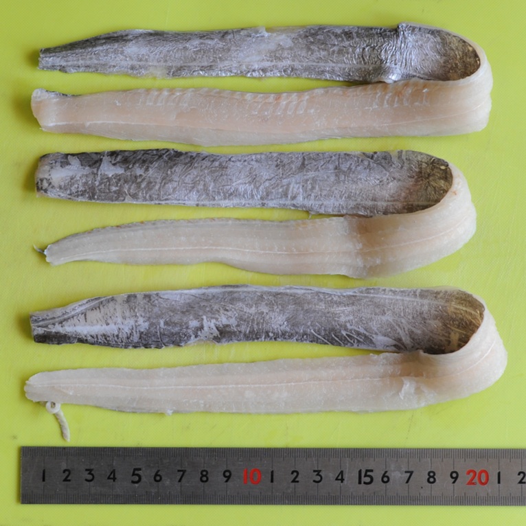 太刀魚フィレ（骨取） 1枚30～50ｇ 500ｇ Ｘ10パック 揚物 焼物 業務用 仕入れ
