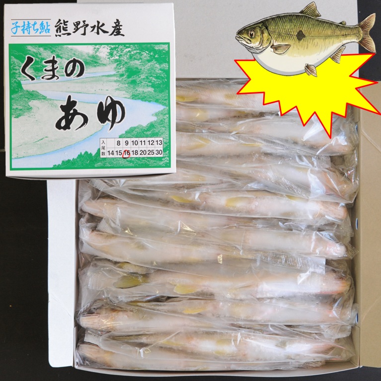 子持ち鮎 1kg 15尾 X1ボール【2ボール以上でお願いします】和歌山産 国産鮎 冷凍鮎 熊野水産 くまのあゆ 便利な個包装 業務用 仕入れ
