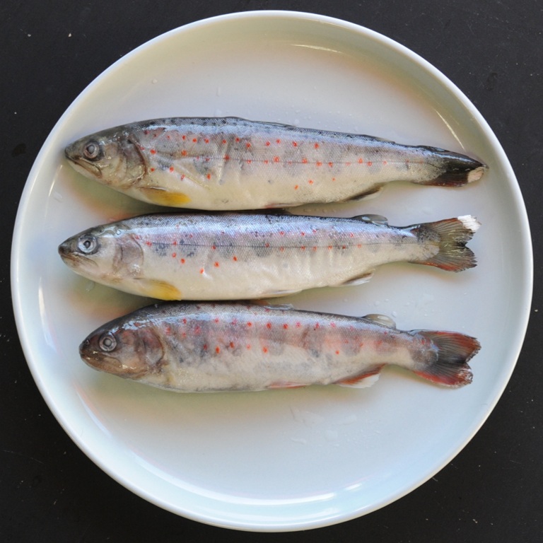 奇跡の清流 仁淀川のアマゴ 1kg 15尾 X1ボール 片岡養魚 養殖ユズあまご あめご 仁淀ブルー 中津明神山 業務用 仕入れ
