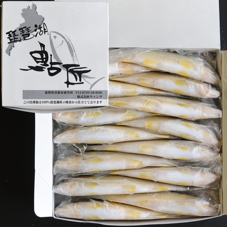琵琶湖産鮎 1kg 14尾 X1ボール【3ボール以上でお願いします】エリ漁天然稚魚使用 滋賀県 養殖鮎 国産鮎 冷凍鮎