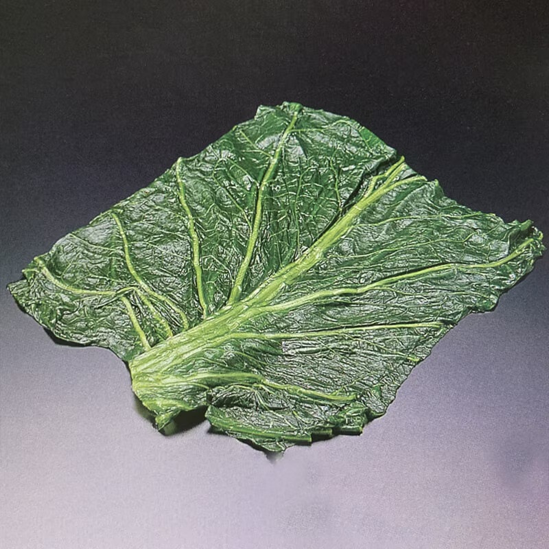 青高菜 15ｘ15cm 20枚 X1袋【2袋以上でお願いします】おにぎり 小鉢 香の物