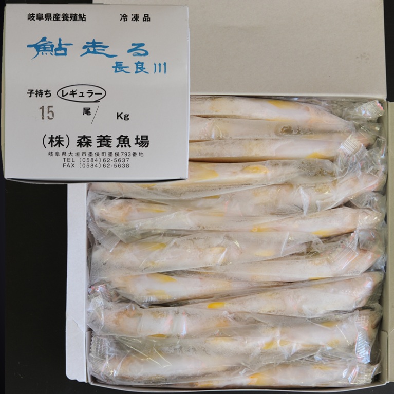 岐阜・愛知県産 養殖鮎 1㎏ 15尾 X1ボール【3ボール以上でお願いします】養殖あゆ 国産鮎 冷凍鮎便利な個包装 業務用 仕入れ