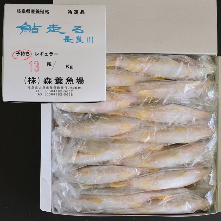 子持ち鮎 1㎏ 13尾 X1ボール 愛知産 岐阜産 国産鮎 冷凍鮎 子持鮎 便利な個包装 業務用 仕入れ