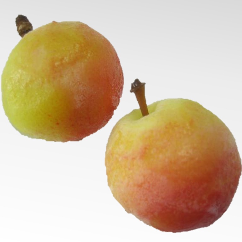 カスタード餅 りんご 15個 X1パック【3パック以上でお願いします】花餅 和菓子 前菜 八寸 お茶請け お茶菓子